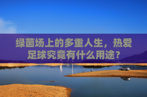 绿茵场上的多重人生,热爱足球究竟有什么用途?