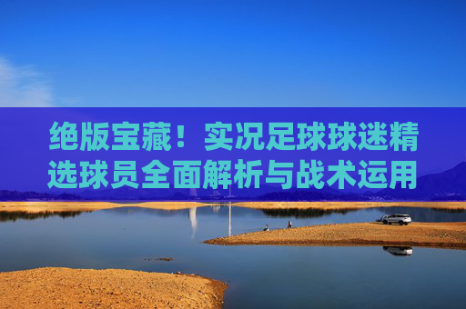 绝版宝藏!实况足球球迷精选球员全面解析与战术运用指南