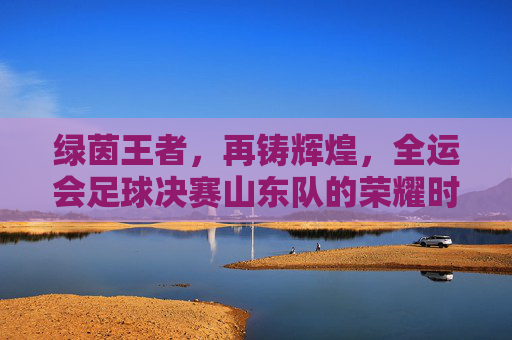 绿茵王者，再铸辉煌，全运会足球决赛山东队的荣耀时刻