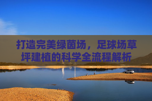 打造完美绿茵场,足球场草坪建植的科学全流程解析