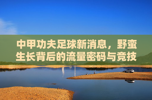 中甲功夫足球新消息，野蛮生长背后的流量密码与竞技困局