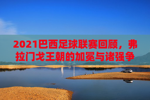 2021巴西足球联赛回顾,弗拉门戈王朝的加冕与诸强争霸