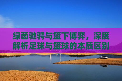 绿茵驰骋与篮下博弈，深度解析足球与篮球的本质区别