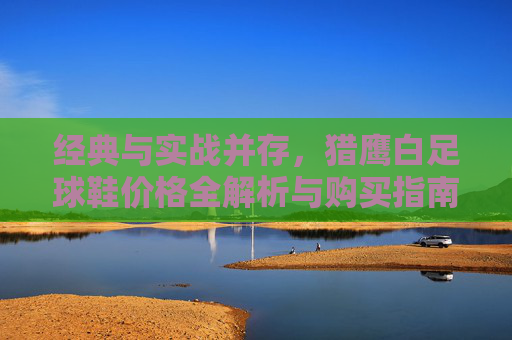 经典与实战并存,猎鹰白足球鞋价格全解析与购买指南