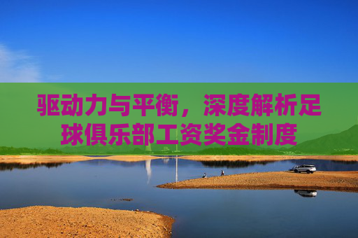 驱动力与平衡,深度解析足球俱乐部工资奖金制度