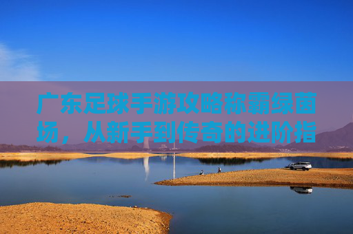 广东足球手游攻略称霸绿茵场,从新手到传奇的进阶指南