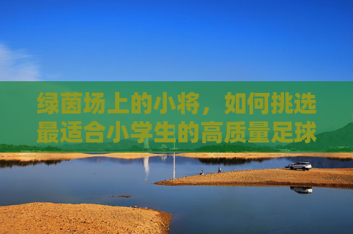 绿茵场上的小将,如何挑选最适合小学生的高质量足球