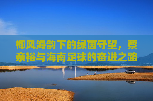 椰风海韵下的绿茵守望，蔡亲裕与海南足球的奋进之路