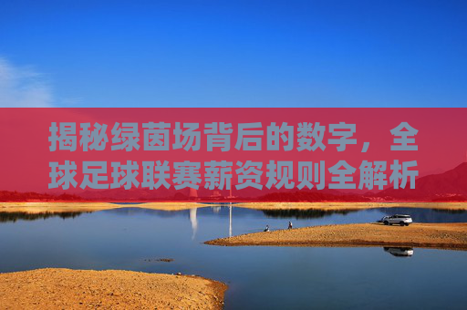 揭秘绿茵场背后的数字,全球足球联赛薪资规则全解析