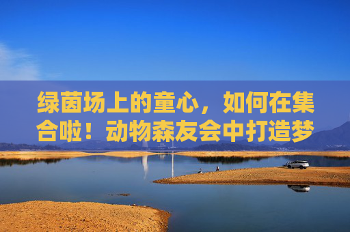 绿茵场上的童心,如何在集合啦!动物森友会中打造梦幻足球场