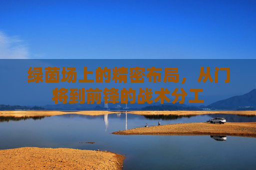 绿茵场上的精密布局,从门将到前锋的战术分工
