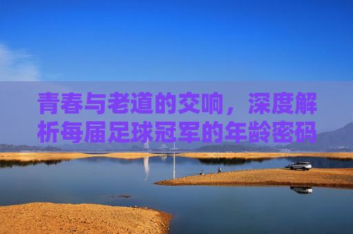 青春与老道的交响，深度解析每届足球冠军的年龄密码