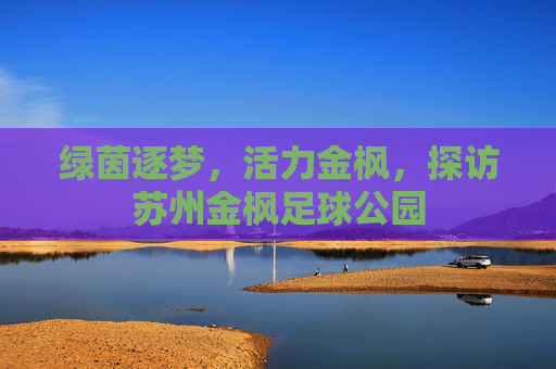 绿茵逐梦,活力金枫,探访苏州金枫足球公园