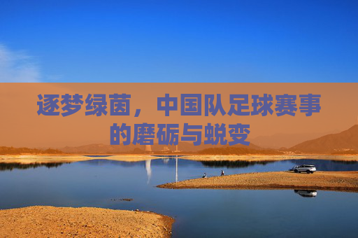 逐梦绿茵，中国队足球赛事的磨砺与蜕变
