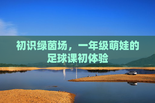 初识绿茵场,一年级萌娃的足球课初体验