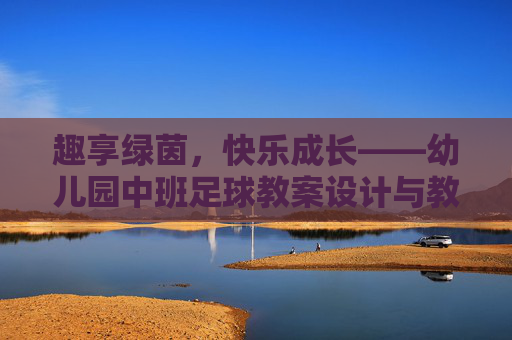 趣享绿茵,快乐成长——幼儿园中班足球教案设计与教学反思