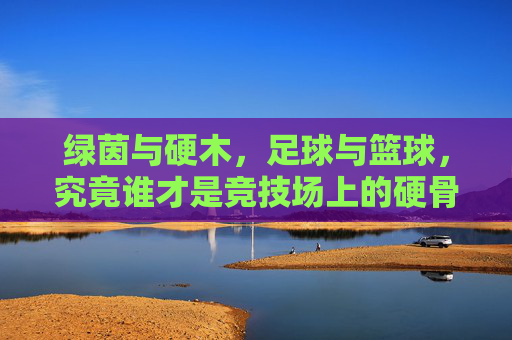 绿茵与硬木,足球与篮球,究竟谁才是竞技场上的硬骨头?
