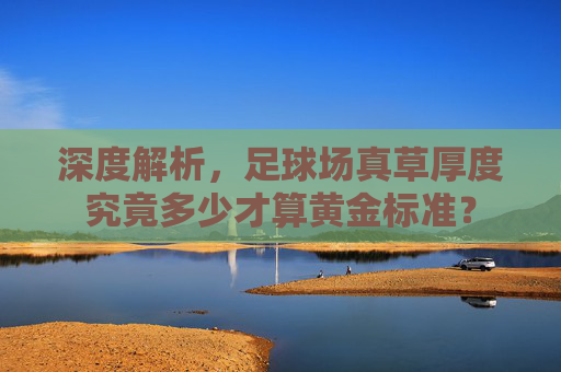深度解析,足球场真草厚度究竟多少才算黄金标准?