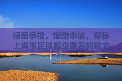 绿茵争锋,燃动申城,探秘上海市足球超级联赛的魅力与激情