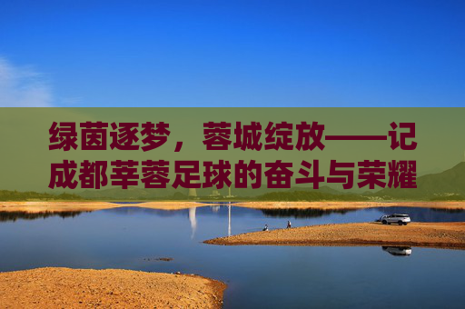 绿茵逐梦，蓉城绽放——记成都莘蓉足球的奋斗与荣耀