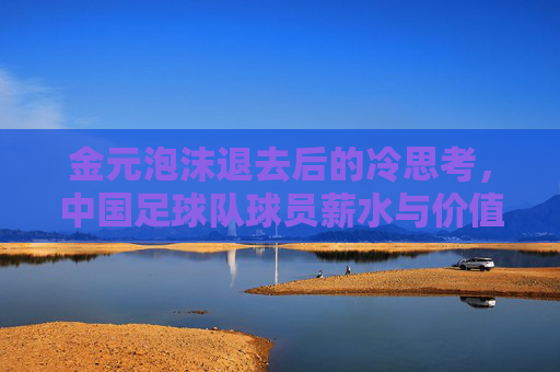金元泡沫退去后的冷思考,中国足球队球员薪水与价值如何匹配?