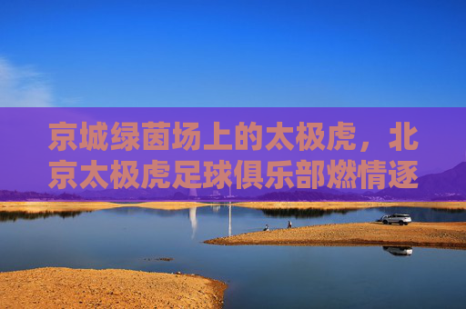 京城绿茵场上的太极虎,北京太极虎足球俱乐部燃情逐梦