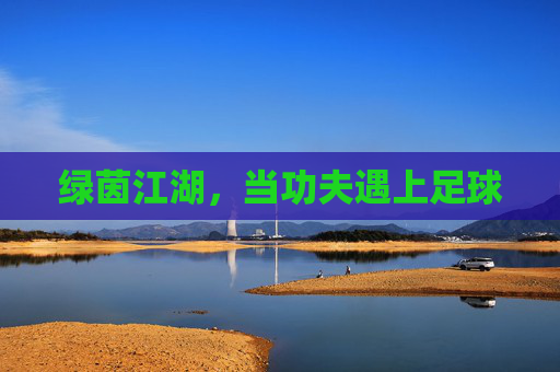 绿茵江湖,当功夫遇上足球