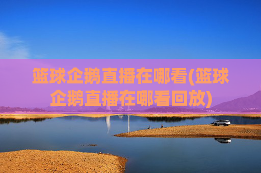 篮球企鹅直播在哪看(篮球企鹅直播在哪看回放)