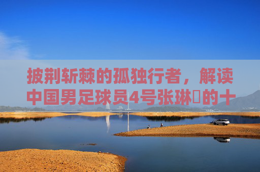 披荆斩棘的孤独行者,解读中国男足球员4号张琳芃的十年与一生