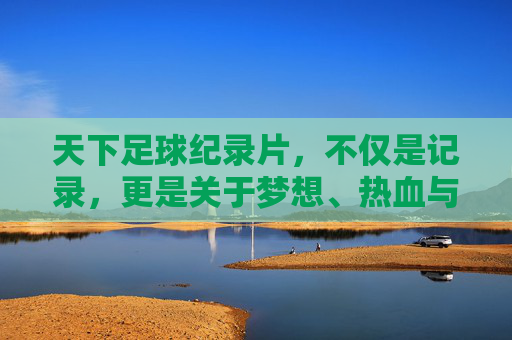 天下足球纪录片,不仅是记录,更是关于梦想、热血与时光的史诗