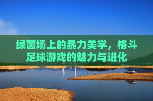 绿茵场上的暴力美学,格斗足球游戏的魅力与进化