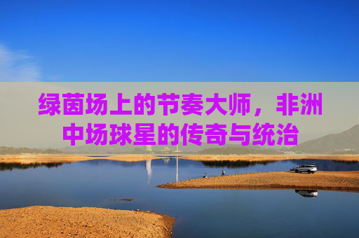 绿茵场上的节奏大师,非洲中场球星的传奇与统治