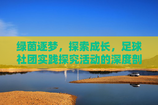 绿茵逐梦,探索成长,足球社团实践探究活动的深度剖析