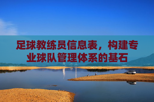 足球教练员信息表,构建专业球队管理体系的基石