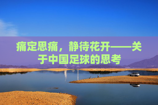 痛定思痛,静待花开——关于中国足球的思考