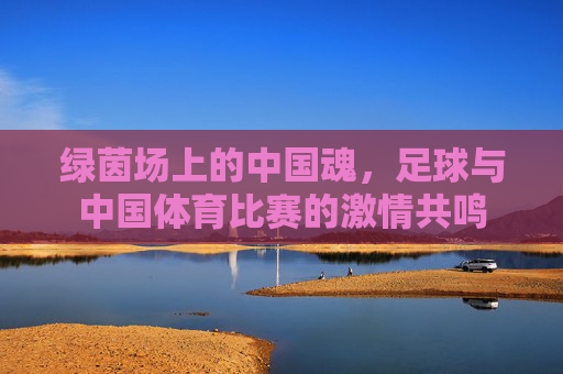 绿茵场上的中国魂，足球与中国体育比赛的激情共鸣