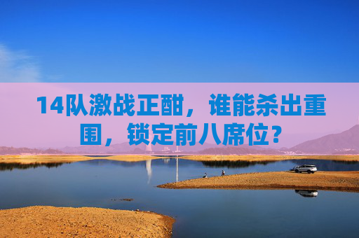 14队激战正酣,谁能杀出重围,锁定前八席位?