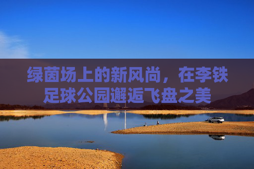 绿茵场上的新风尚,在李铁足球公园邂逅飞盘之美