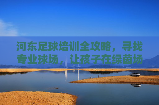 河东足球培训全攻略,寻找专业球场,让孩子在绿茵场上快乐成长