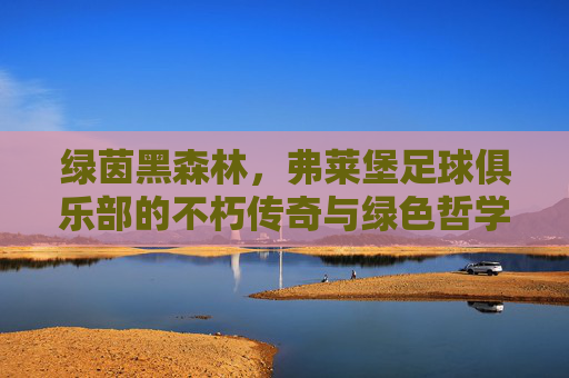 绿茵黑森林,弗莱堡足球俱乐部的不朽传奇与绿色哲学