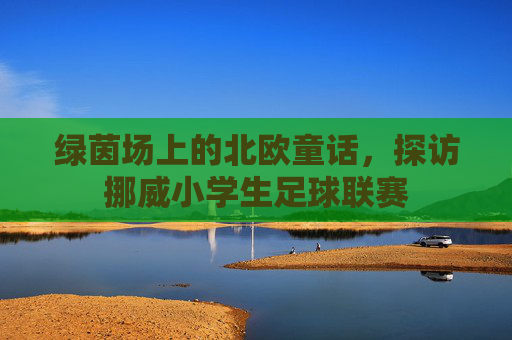 绿茵场上的北欧童话,探访挪威小学生足球联赛