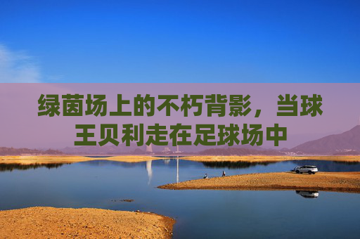 绿茵场上的不朽背影,当球王贝利走在足球场中