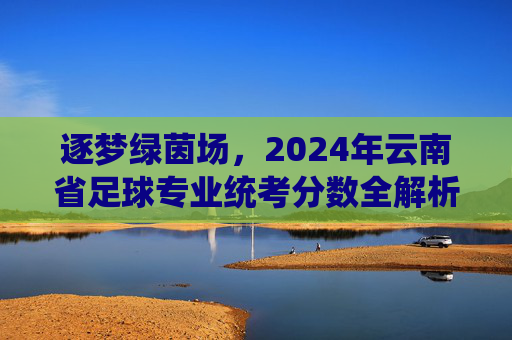 逐梦绿茵场,2024年云南省足球专业统考分数全解析与备考指南