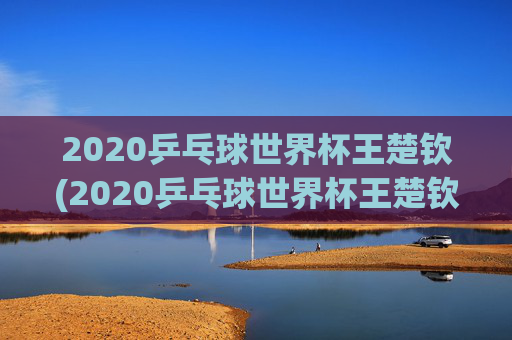 2020乒乓球世界杯王楚钦(2020乒乓球世界杯王楚钦参加了吗)
