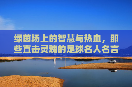 绿茵场上的智慧与热血,那些直击灵魂的足球名人名言