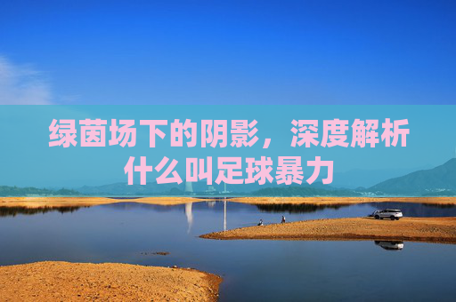 绿茵场下的阴影,深度解析什么叫足球暴力