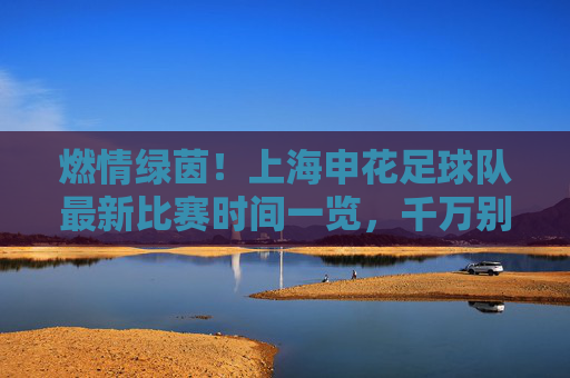 燃情绿茵!上海申花足球队最新比赛时间一览,千万别错过!