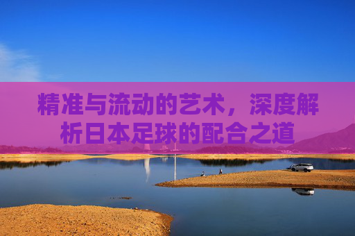 精准与流动的艺术,深度解析日本足球的配合之道