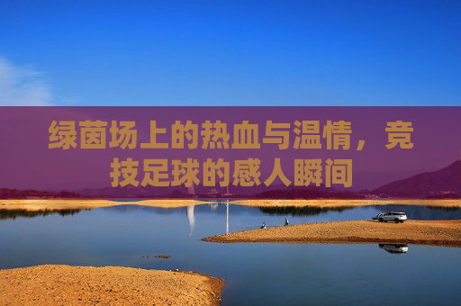 绿茵场上的热血与温情,竞技足球的感人瞬间