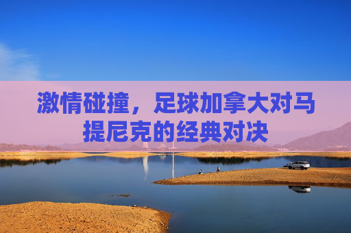 激情碰撞，足球加拿大对马提尼克的经典对决